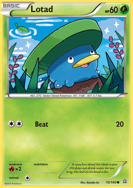 Lotad