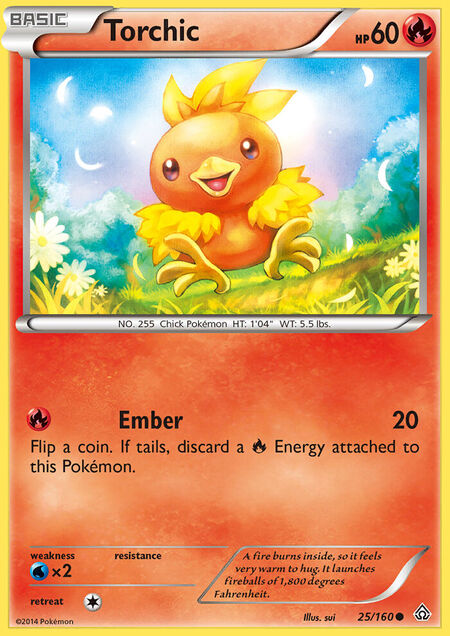 Torchic