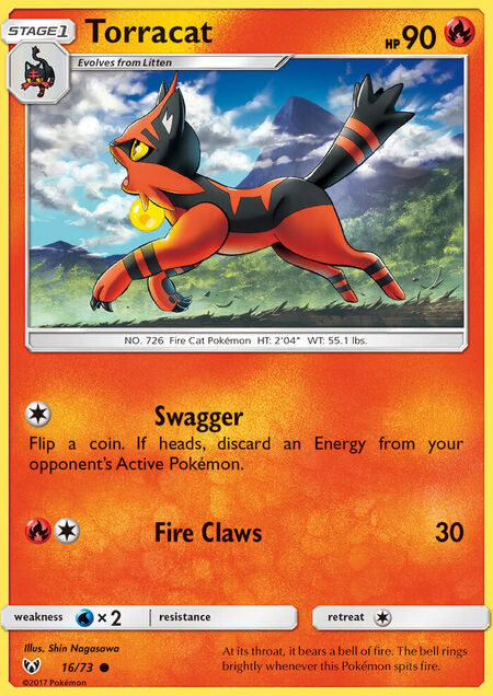 Torracat
