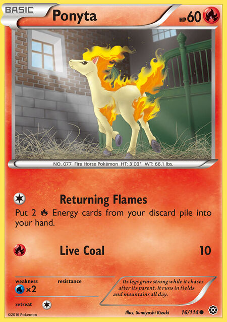 Ponyta